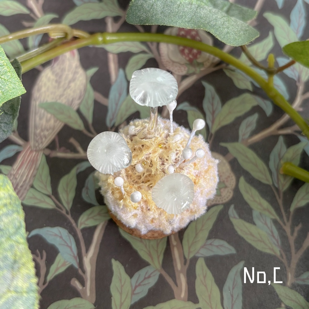 【リーゼの庭】月雫明茸(しずくあかりたけ)