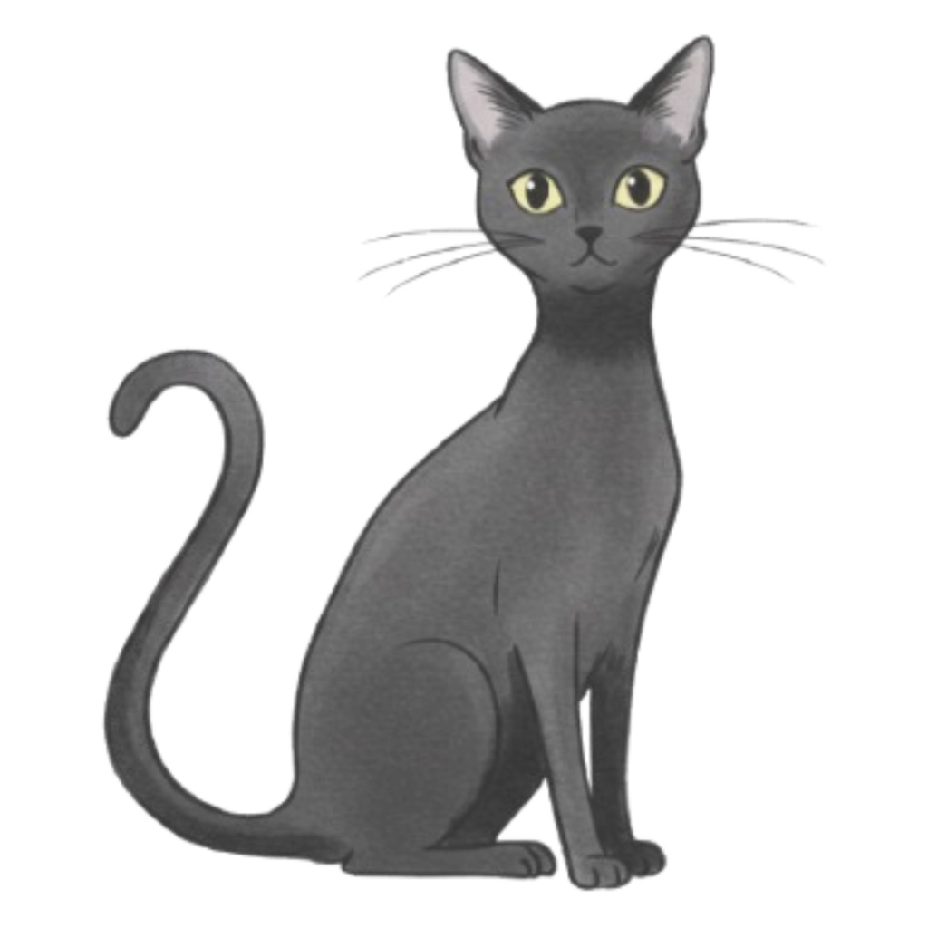 おしゃれなハロウィン水彩イラスト 13点セット|大人かわいいクリップアート|商用利用OK 背景透過PNG |魔女・黒猫・かぼちゃ・月・キャンディ