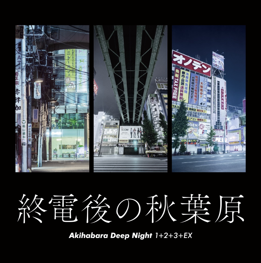 終電後の秋葉原