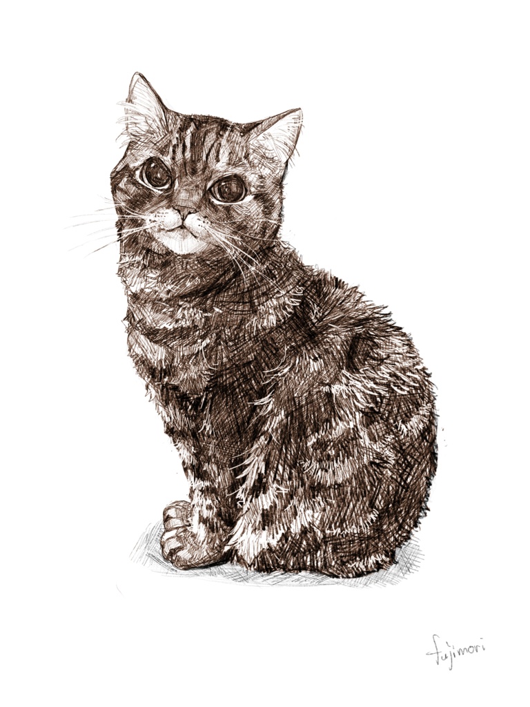 ももちゃんTシャツ