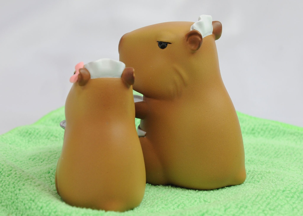 カピバラさん 「むすめ と おかん」