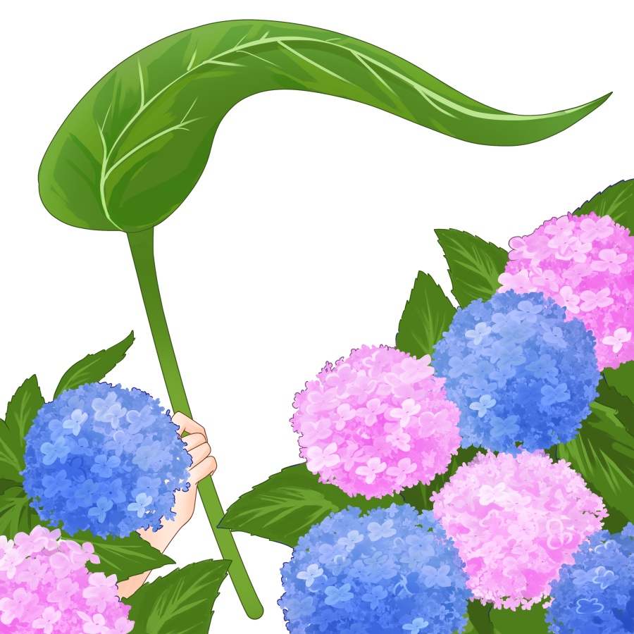 【VTuber向け】紫陽花素材:高解像度版&商用利用権