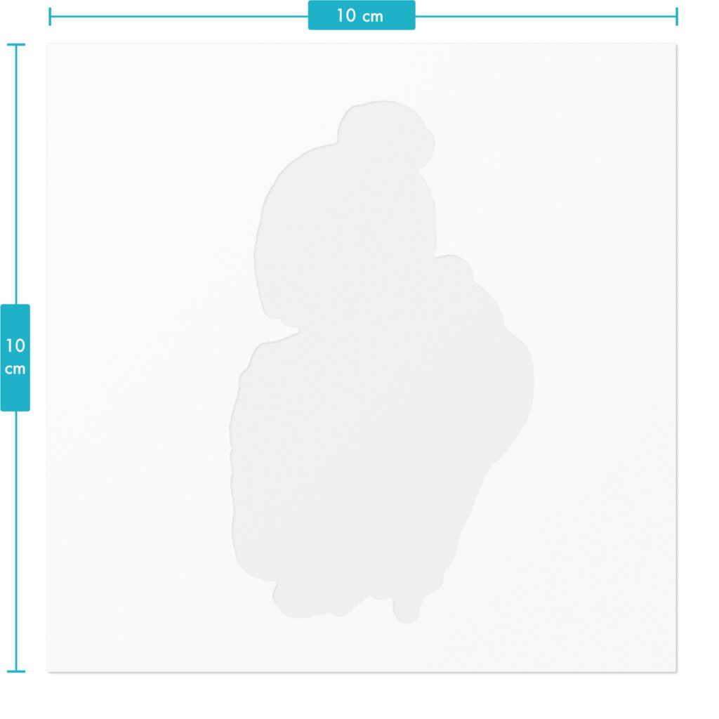 レイス ステッカー