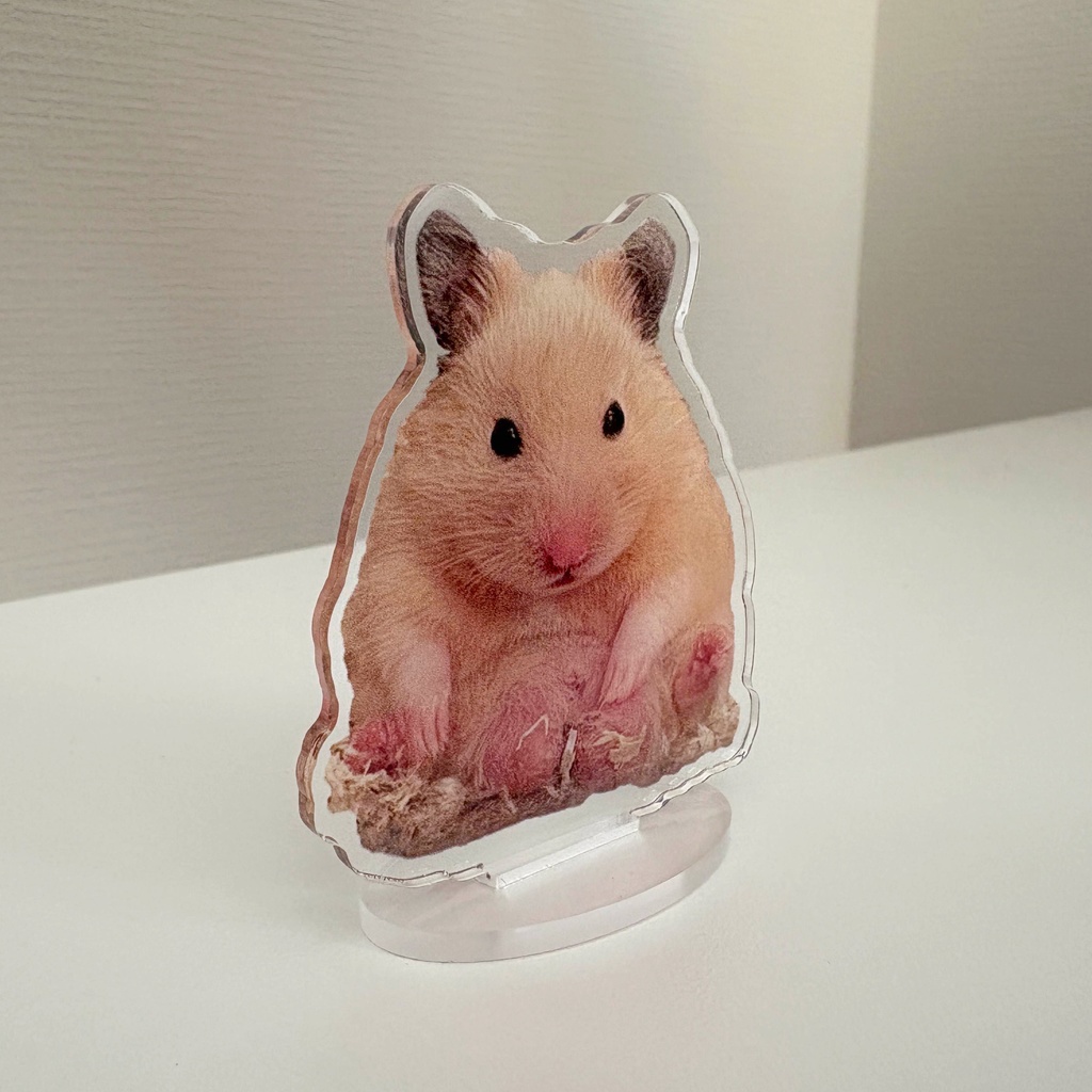 お相撲さんゼラス アクリルスタンド