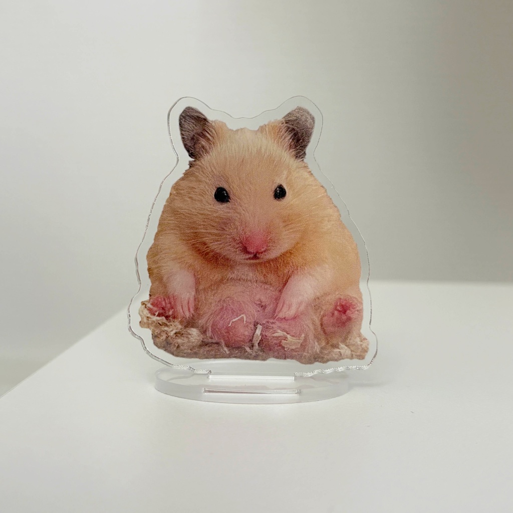 お相撲さんゼラス アクリルスタンド