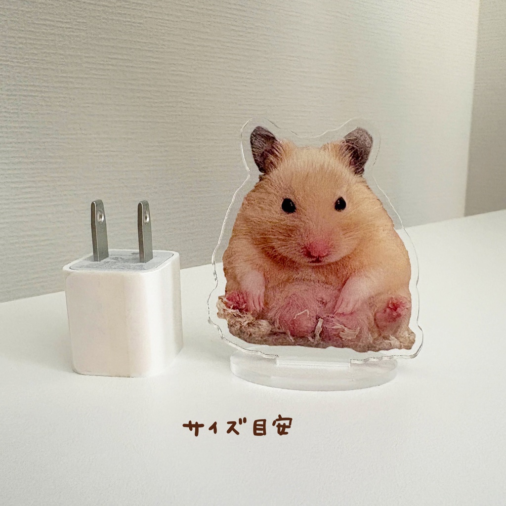 お相撲さんゼラス アクリルスタンド