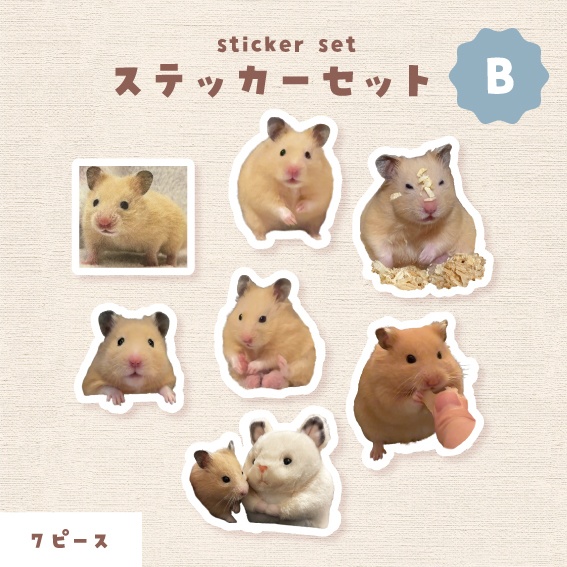 ゼラス　ステッカー 【Bセット】