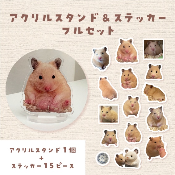 ゼラス　グッズフルセット