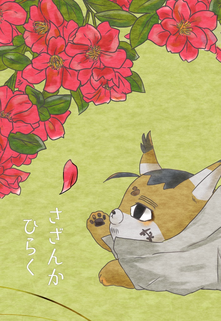 さざんかひらく
