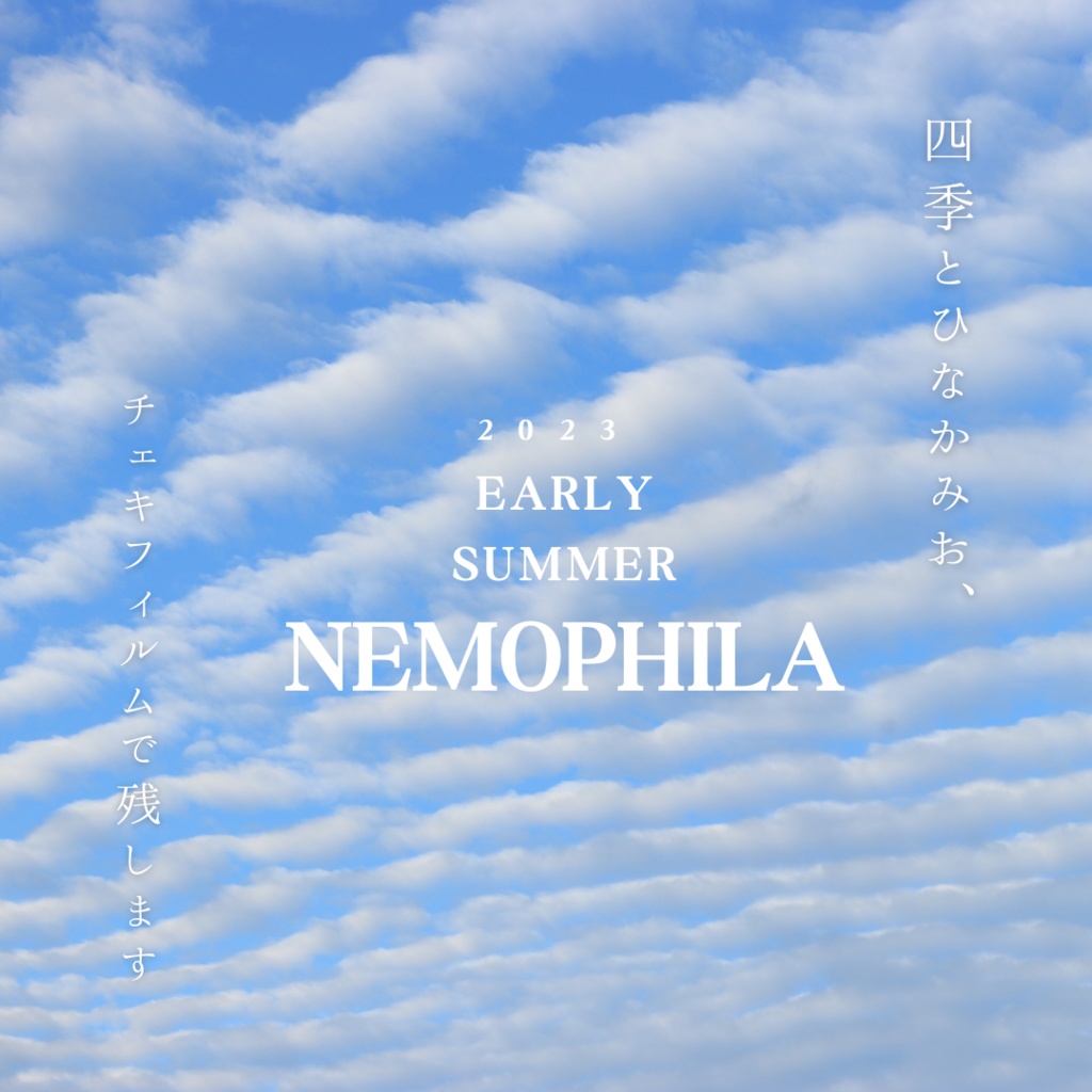 四季チェキ〜初夏のネモフィラ〜