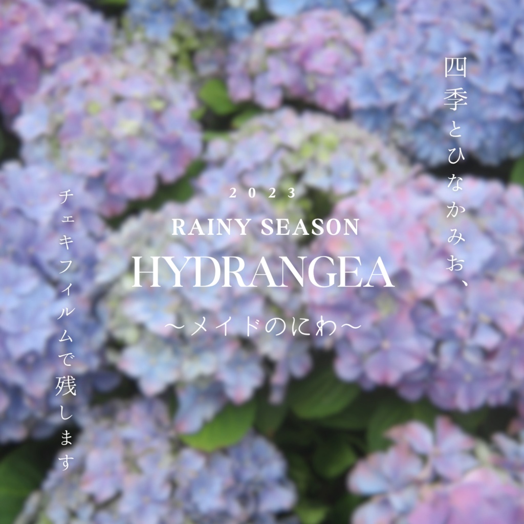四季チェキ〜メイドと紫陽花の庭〜