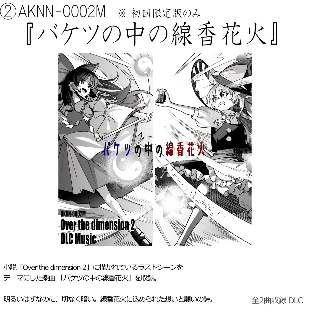 【小説】AKNN-0002「Over the dimension 2」