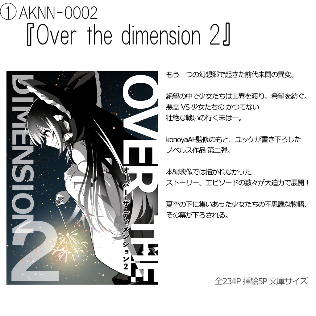 【小説】AKNN-0002「Over the dimension 2」