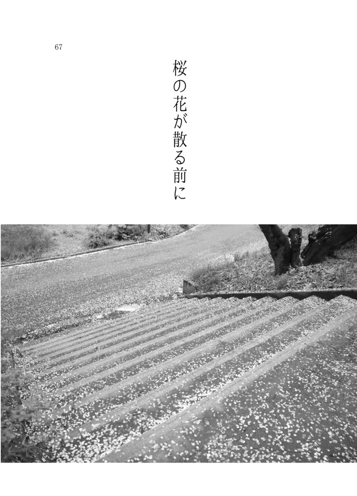 【僕ラブ12】『桜の花が散る前に』文庫本、短編集