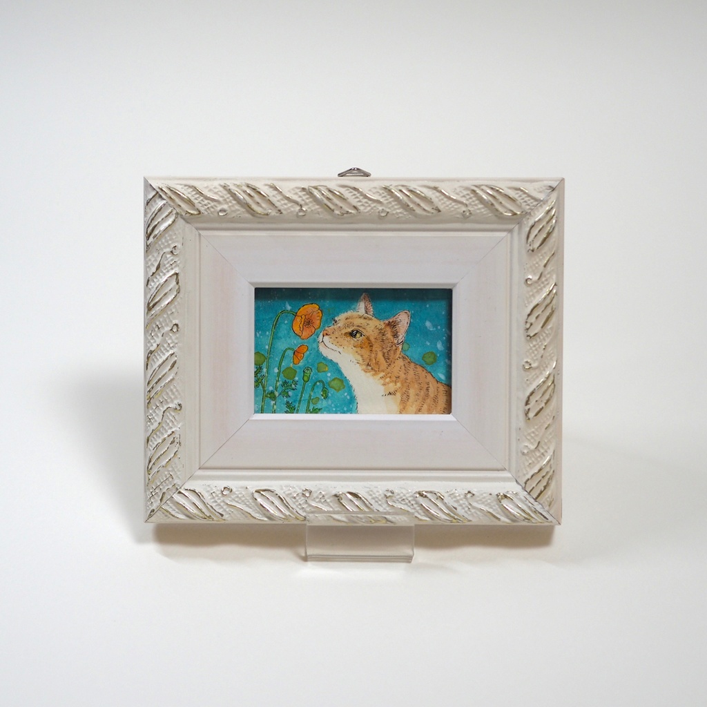 原画「ナガミヒナゲシとトラ猫」イラスト・水彩画・ペン画・絵画・額入