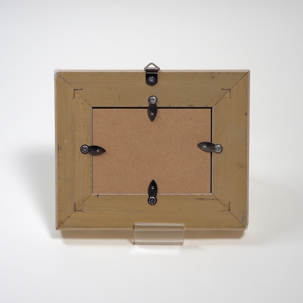 原画「ナガミヒナゲシとトラ猫」イラスト・水彩画・ペン画・絵画・額入