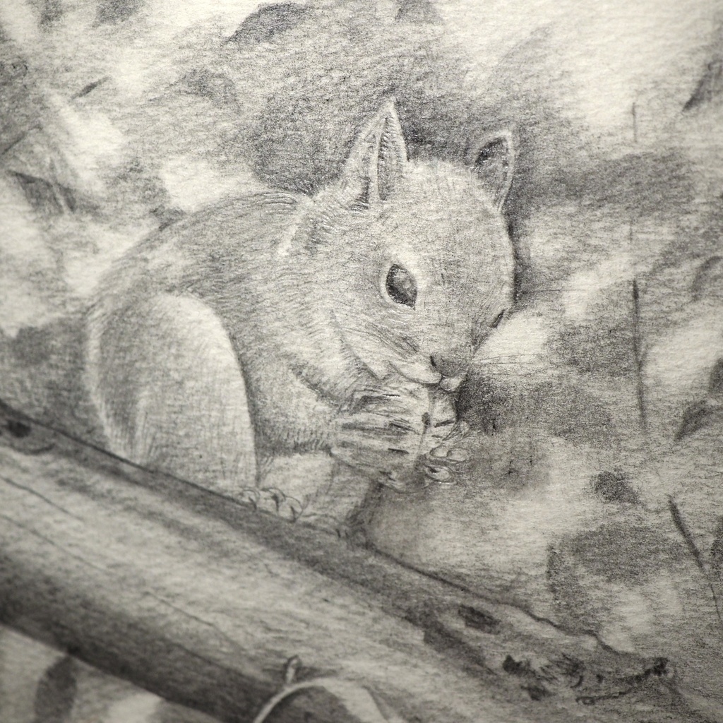 額入鉛筆画「もぐもぐリスさん」原画