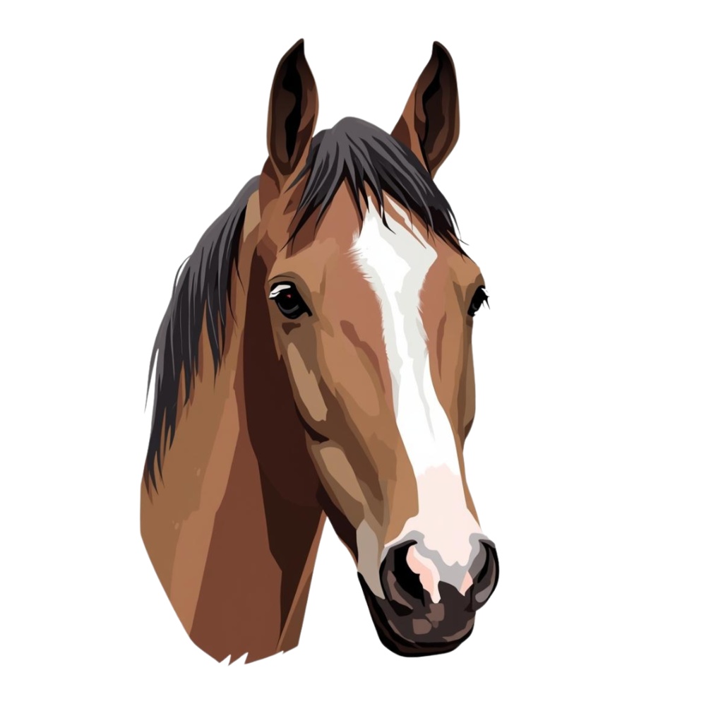 リアルイラスト風 馬のクリップアート素材(PNG)