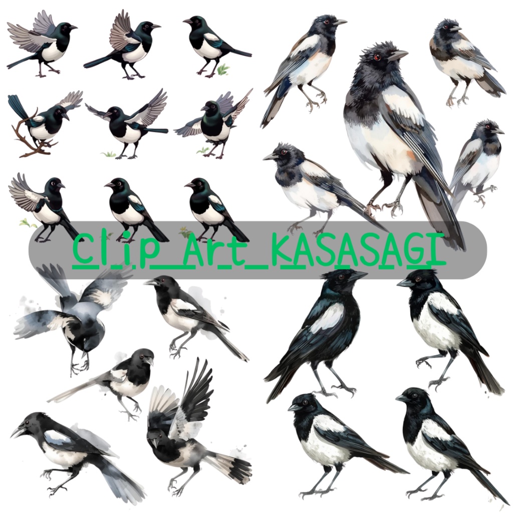カササギ クリップアート素材集（PNG）