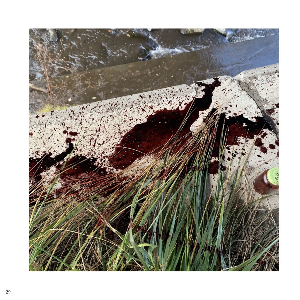 Diary -my body and scenery- (Digital, English)