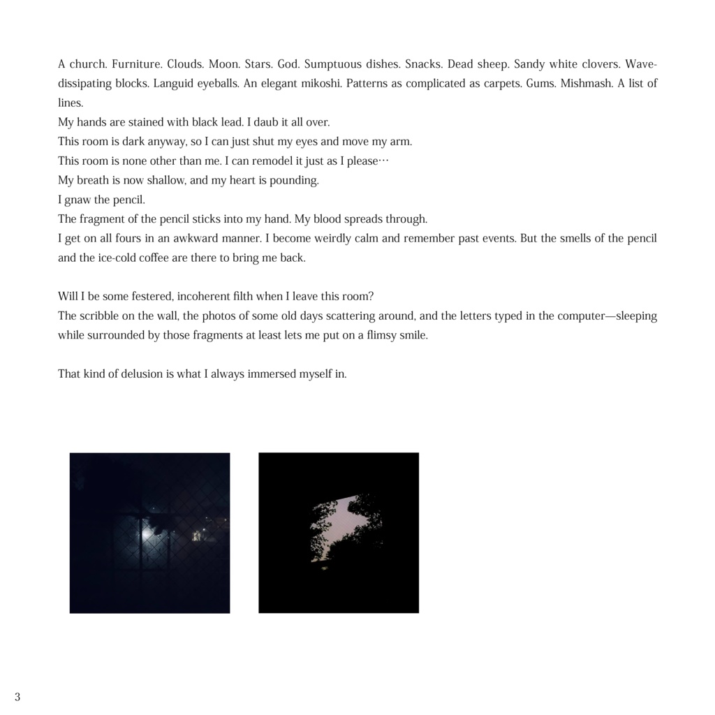 Diary -my body and scenery- (Digital, English)