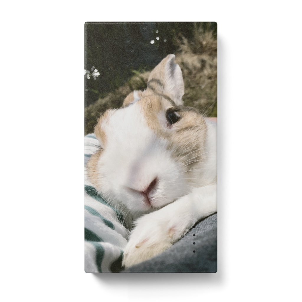 うさぎ モバイルバッテリー