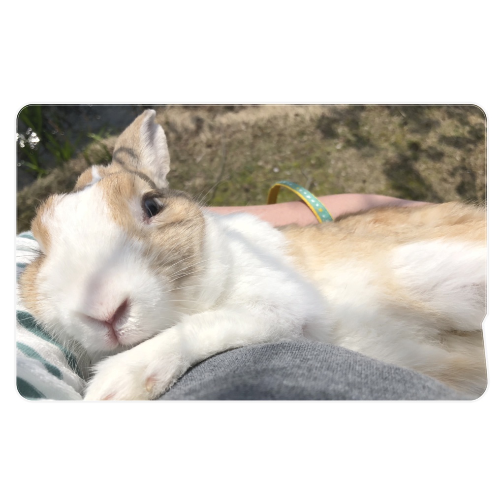 うさぎICカードステッカー