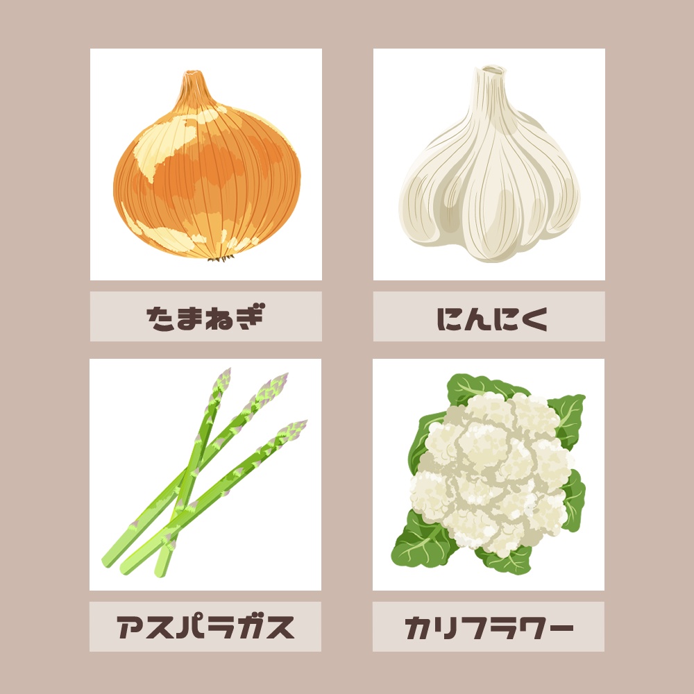 【フリー素材イラスト】野菜A