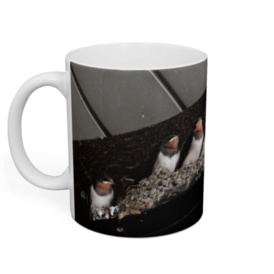 オリジナルマグカップ 全2種類 There are 2 types of the Original Mug