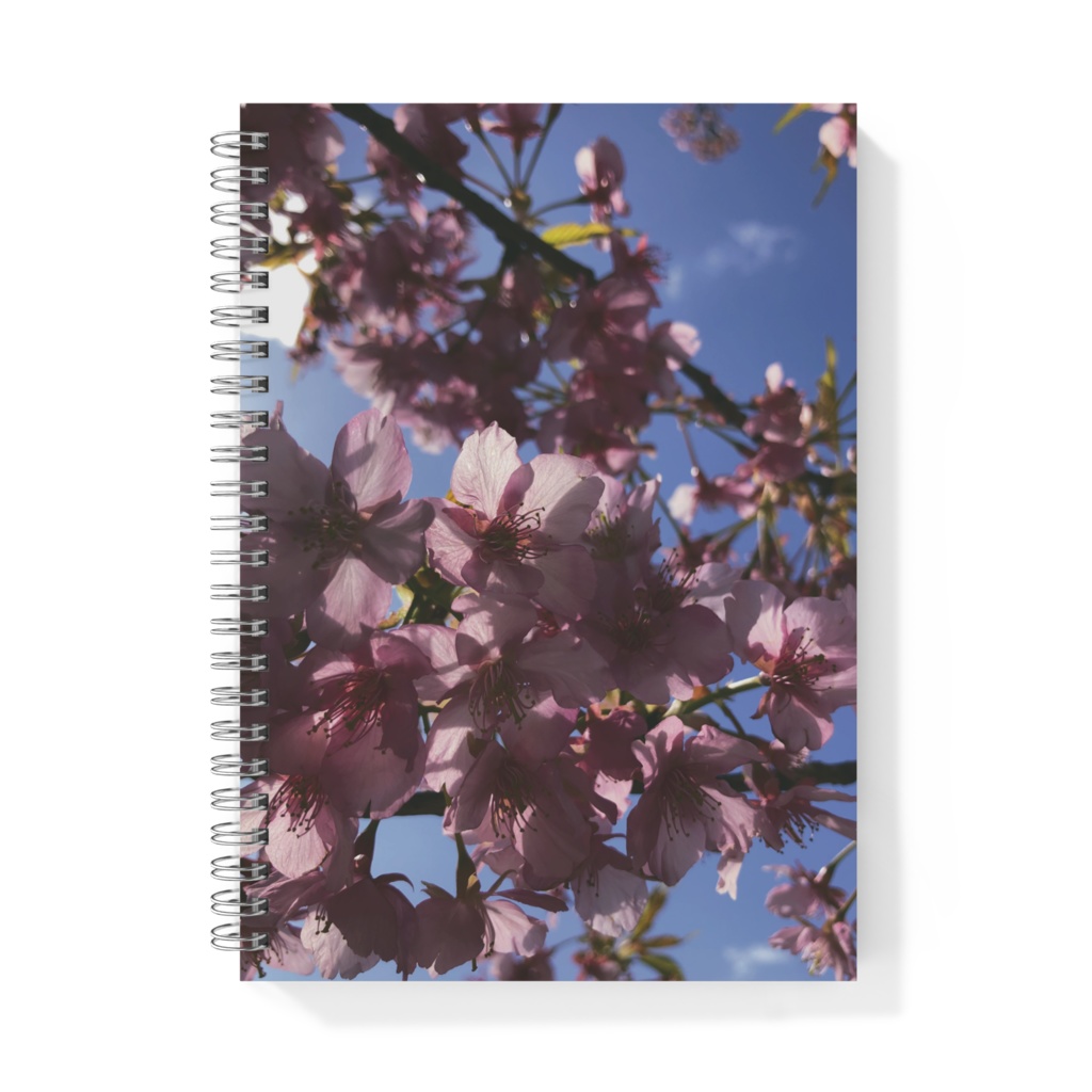 河津桜リングノート