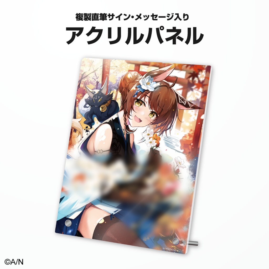 フミ 誕生日グッズ&ボイス