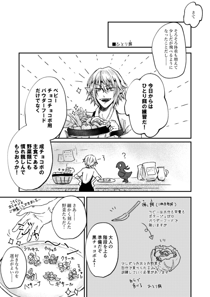 【頭割り3新刊】オルシュファン卿のイイ黒チョコボ育成記2