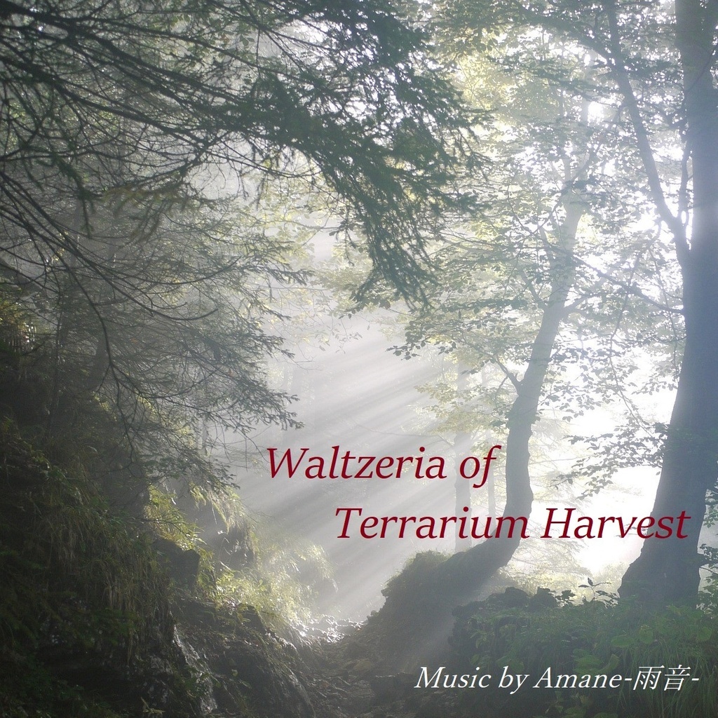 Waltzeria of Terrarium Harvest