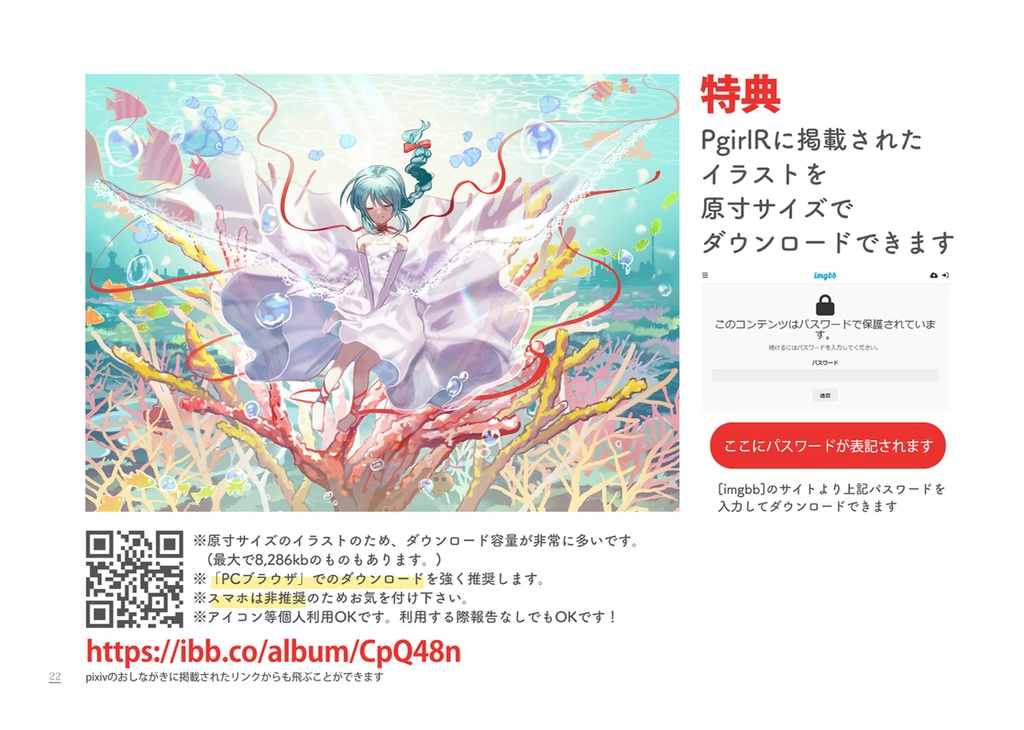 【ダウンロード版】PgirlR