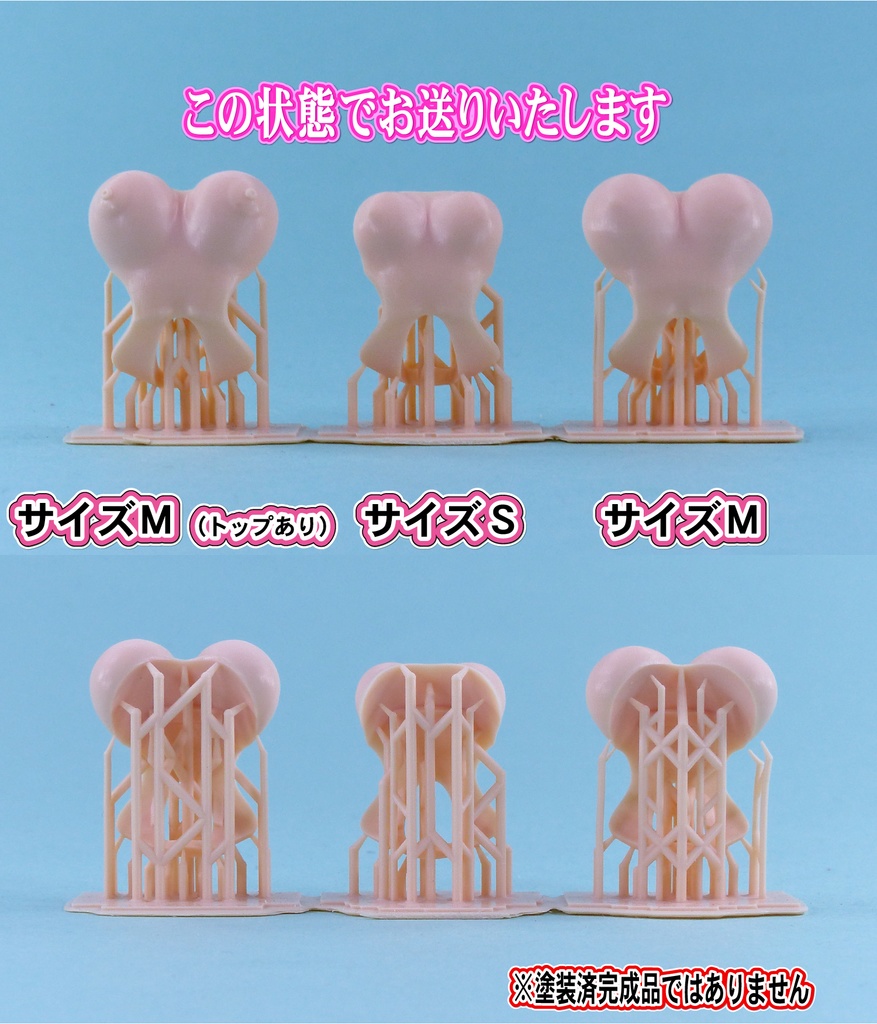 Block2用 バストセット01  (Block2S/M共用)