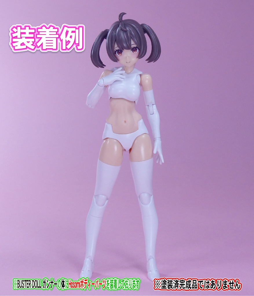 Block2-M用ボディー Hosomiタイプ (バスタードールシリーズ等)