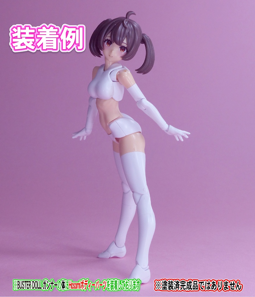 Block2-M用ボディー Hosomiタイプ (バスタードールシリーズ等)