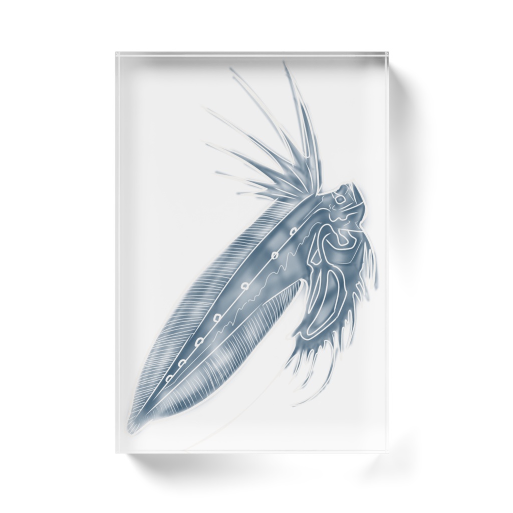 リュウグウノツカイ稚魚