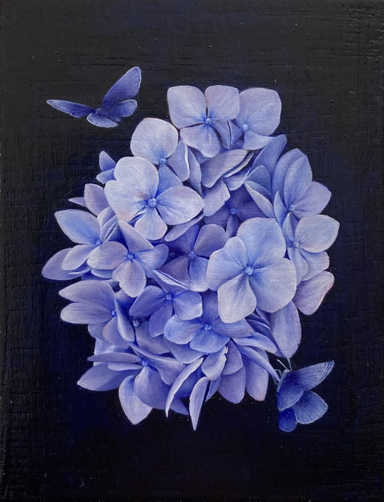 hydrangea
