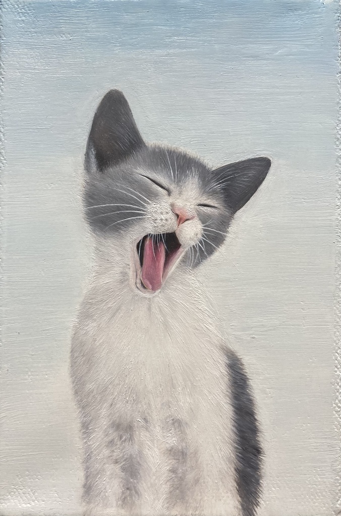 cat 005 『yawn』