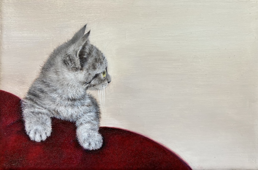cat 006