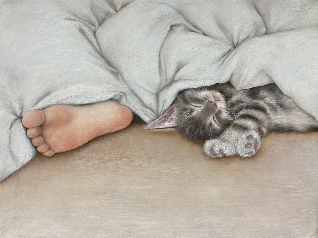 cat 007