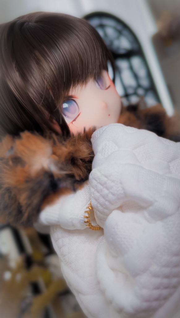 【 ねこ散歩 】MDD