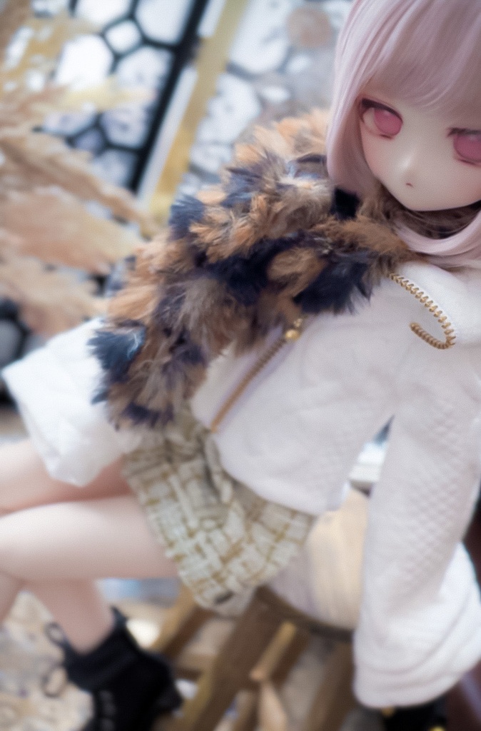 【 ねこ散歩 】MDD