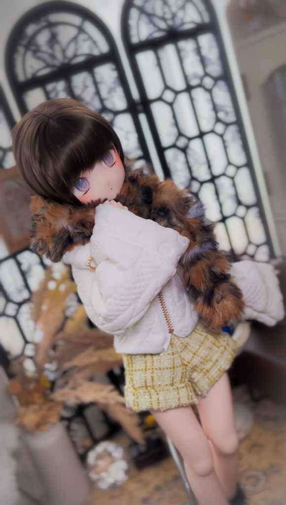 【 ねこ散歩 】MDD