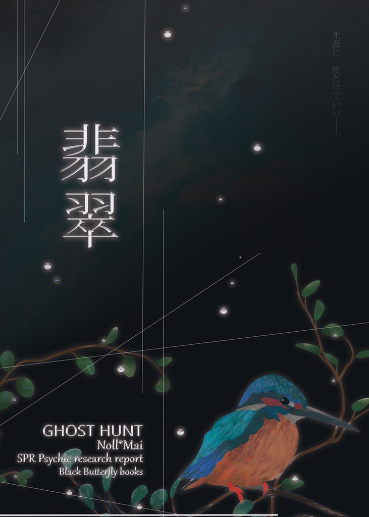 翡翠 kawasemi