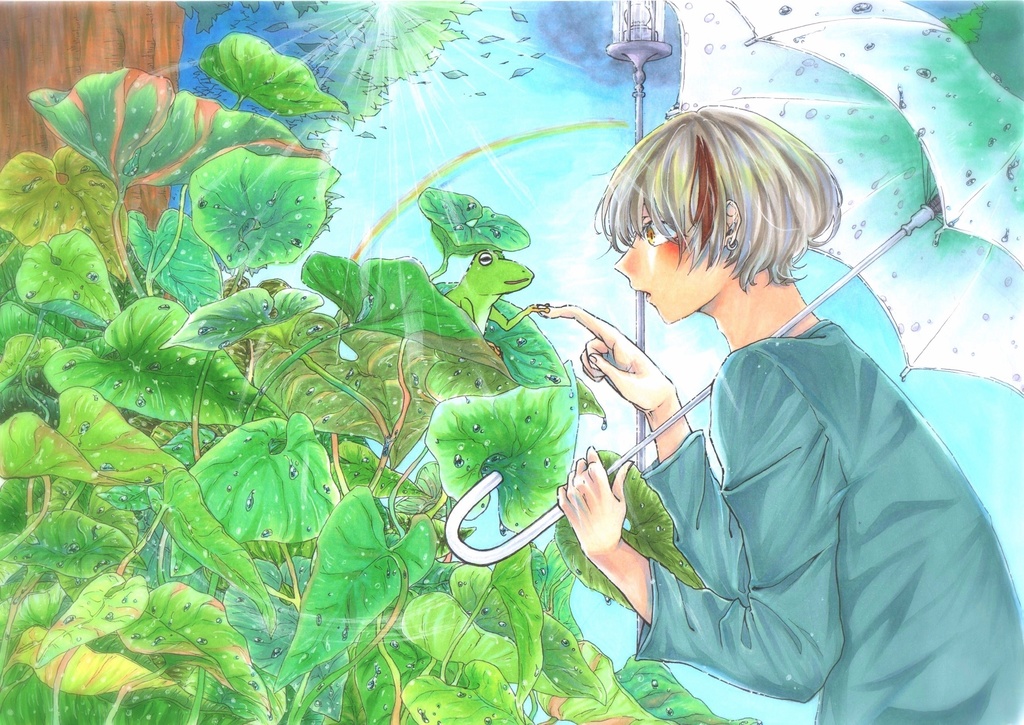 雨上がりポストカード