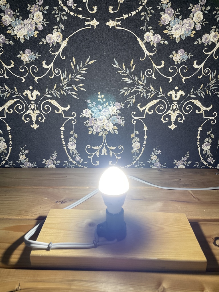 ハンドメイド 竹あかり【シマエナガと梅と竹】