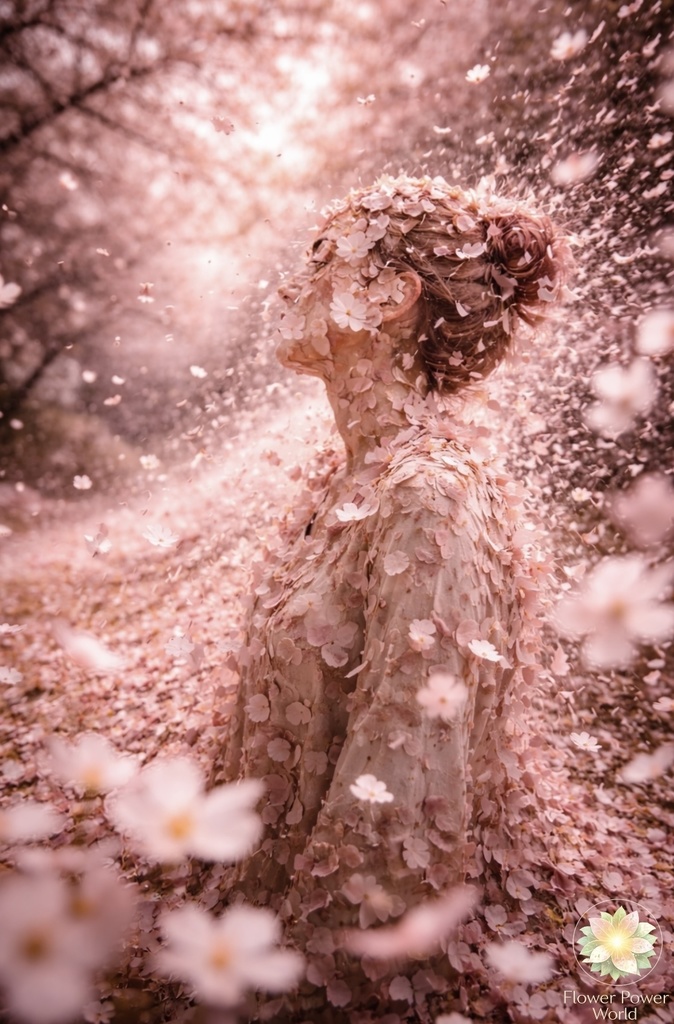 桜に生きる|どの瞬間も美しく To Live Beautifully | Every Moment in Bloom