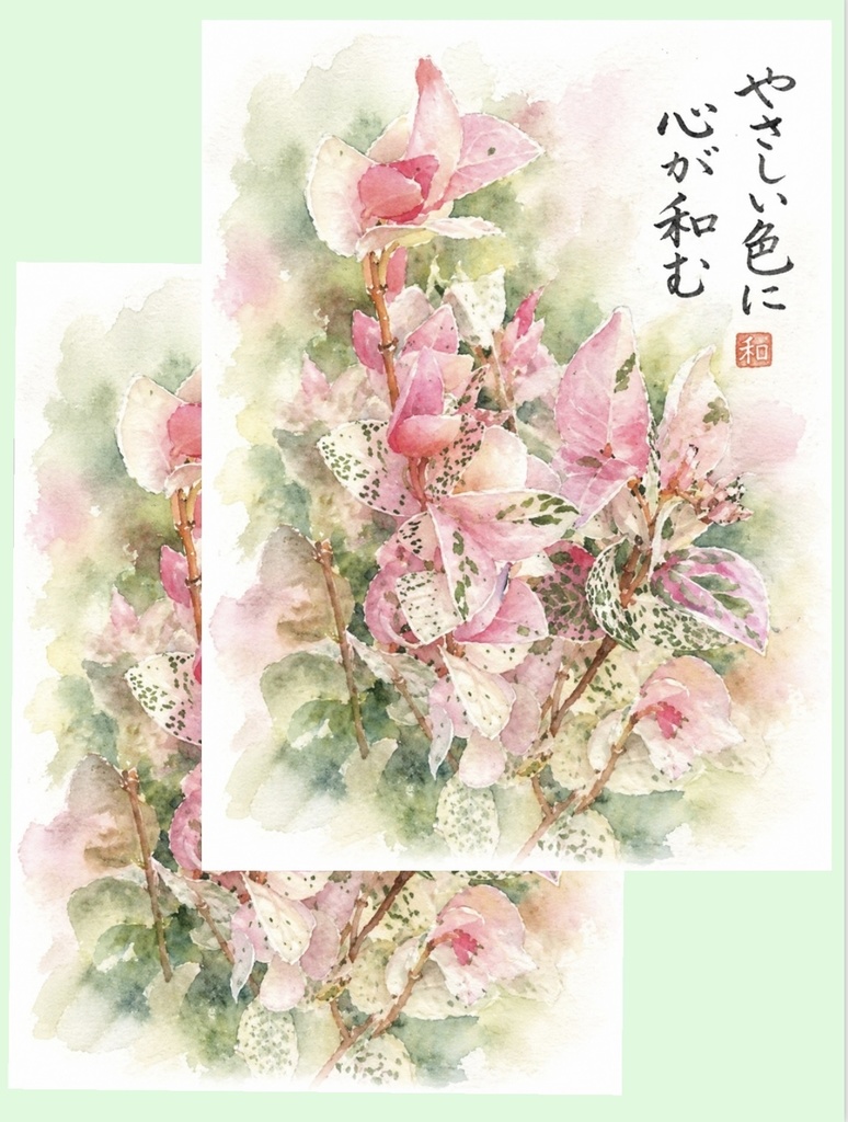 初雪カズラ｜やさしい色が心を整える絵手紙（2枚セット）　Gentle Colors of Trachelospermum | A Calming Watercolor Postcard Set (2 Pieces)